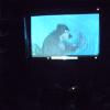 Atividade dos Lobinhos - Cinema com Pipoca - A História de Mowgli