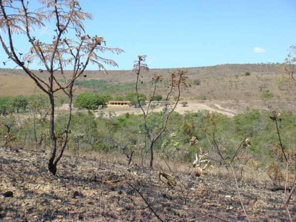 Foto 2007-09-07 10-47-33