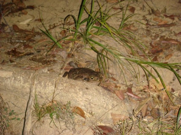 Foto 2007-09-07 19-57-40