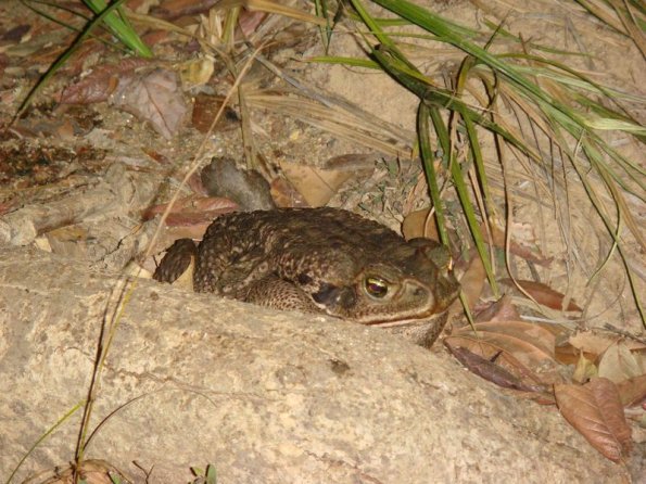 Foto 2007-09-07 19-57-52