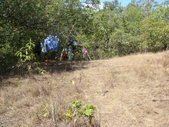 Foto 2007-09-08 14-01-29