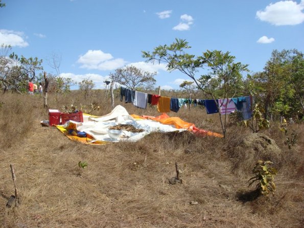 Foto 2007-09-08 14-02-18