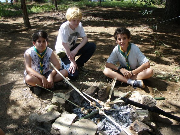 OLYMPUS DIGITAL CAMERA