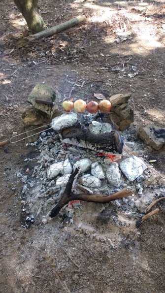 IMG-20170423-WA0128