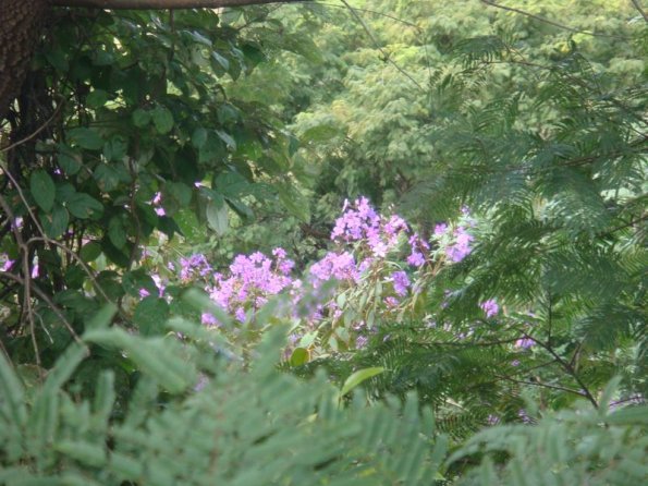 Foto 2009-05-16 11-52-57