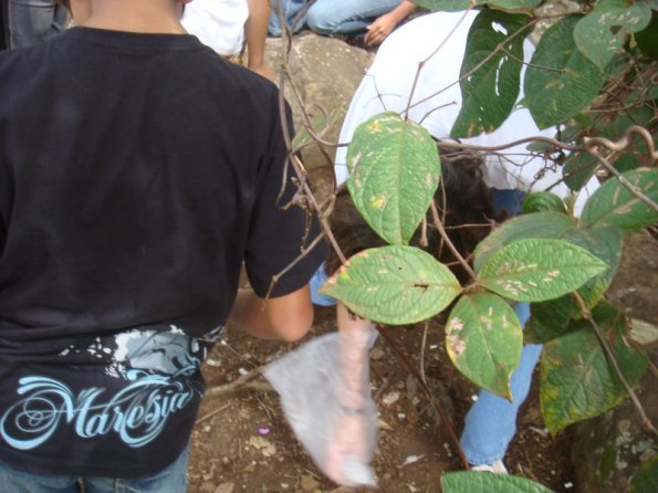 Foto 2009-05-16 11-54-04