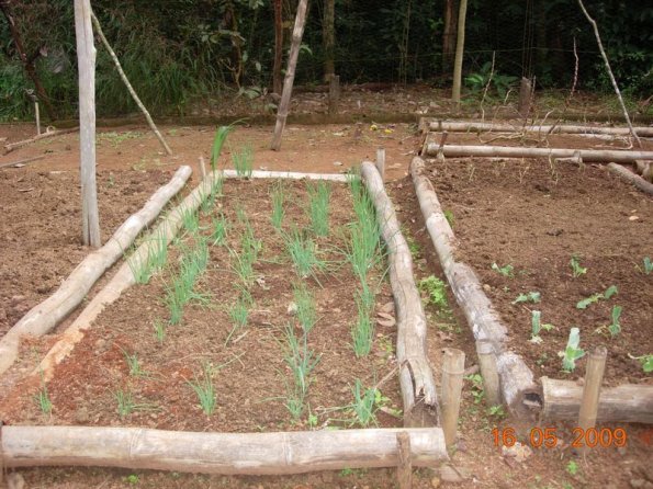 Foto 2009-05-16 11-56-52