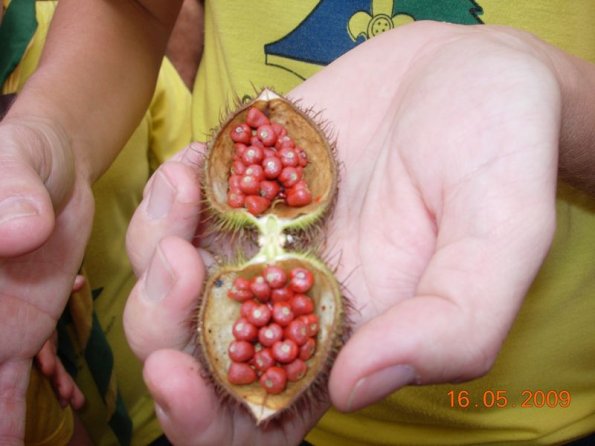 Foto 2009-05-16 11-58-05