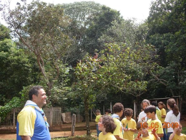 Foto 2009-05-16 12-04-37