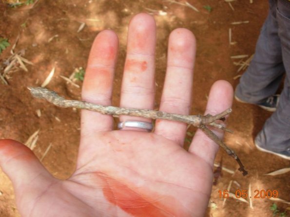 Foto 2009-05-16 12-11-38