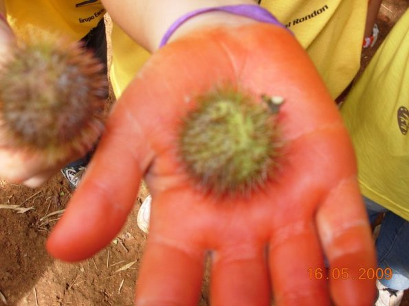 Foto 2009-05-16 12-11-55