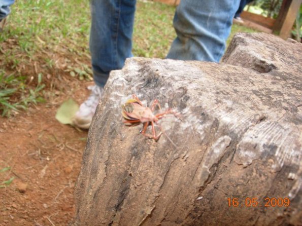 Foto 2009-05-16 12-16-49