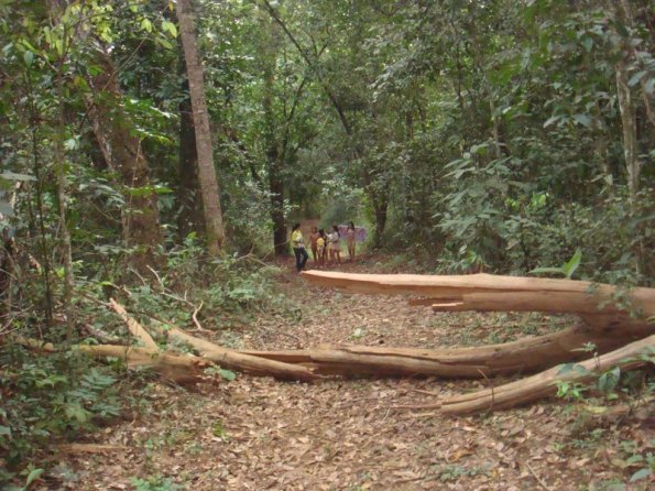 Foto 2009-05-16 17-52-03