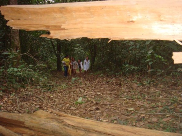 Foto 2009-05-16 17-52-16