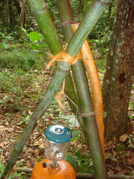 Foto 2009-05-17 09-48-36