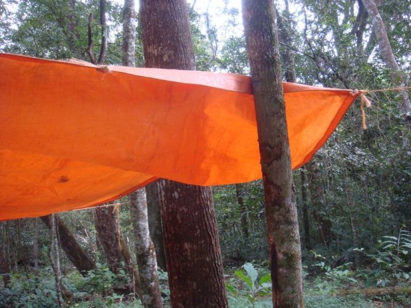 Foto 2009-05-17 09-48-50