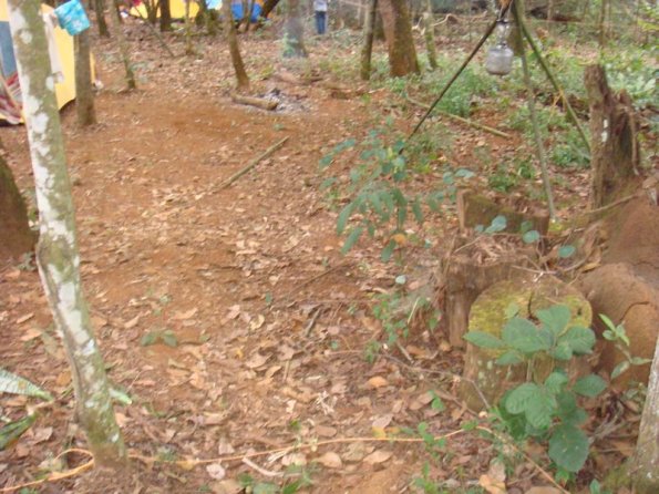 Foto 2009-05-17 09-51-14