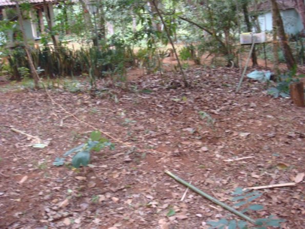 Foto 2009-05-17 09-51-19