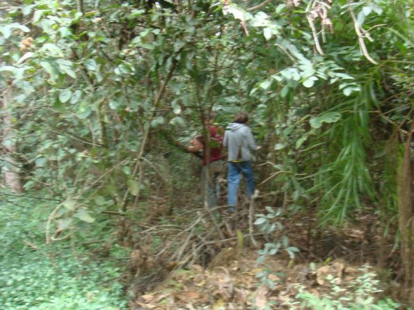 Foto 2009-05-17 10-23-21