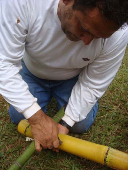 Foto 2009-05-17 10-34-41