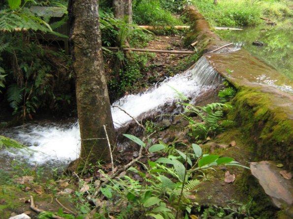 Foto 2009-05-17 11-32-28