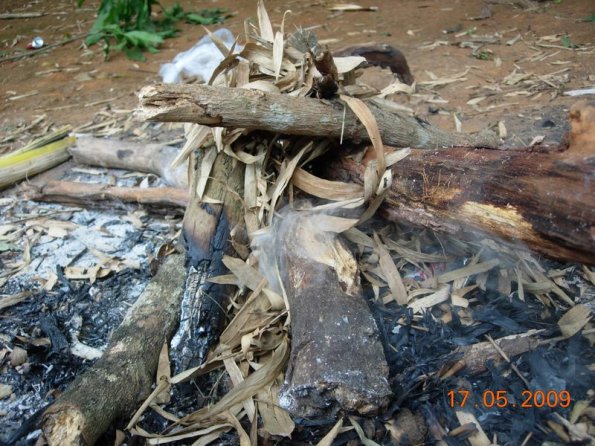 Foto 2009-05-17 13-04-44