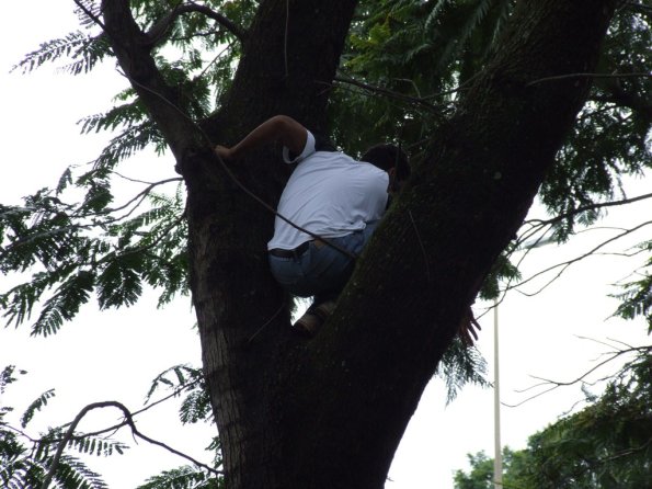 Foto 2008-03-02 09-58-12