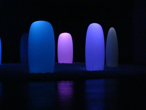 Lobinhos na Exposição Moriko Mori 008
