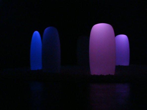 Lobinhos na Exposição Moriko Mori 009