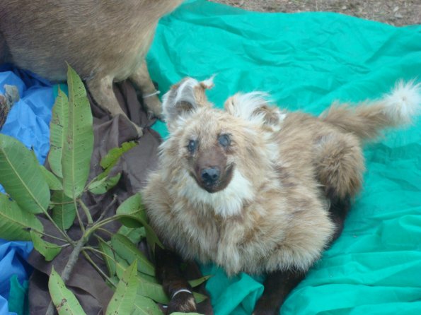 GEMR Zoológico set2010 005