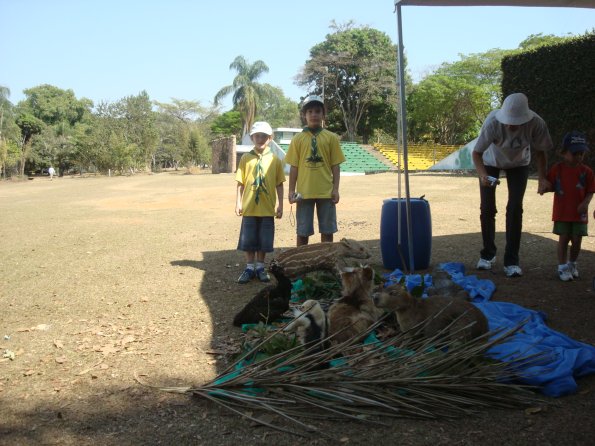GEMR Zoológico set2010 013