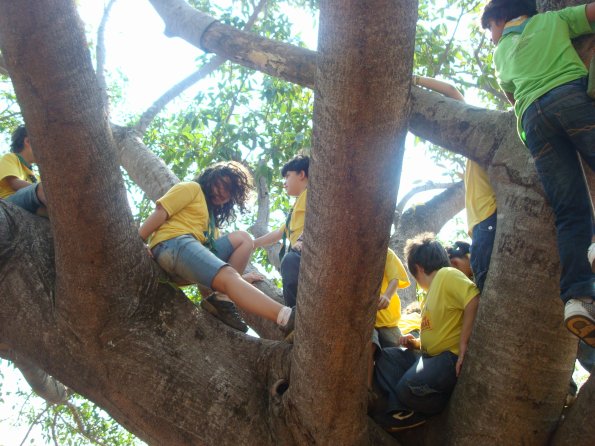 GEMR Zoológico set2010 028