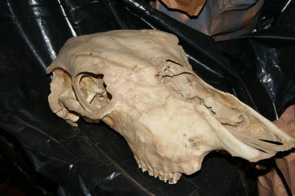 Foto 2008-10-04 17-04-11