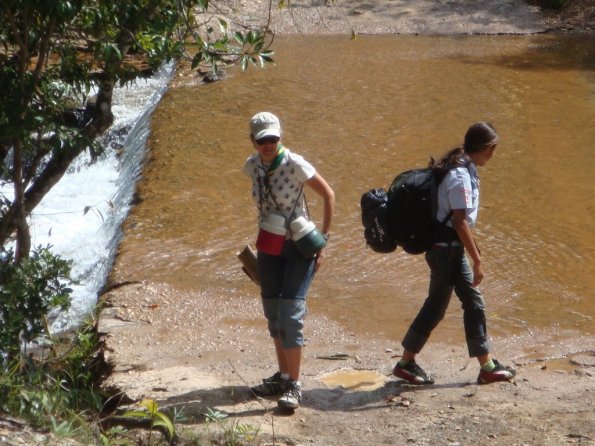 Foto 2008-05-01 11-08-29