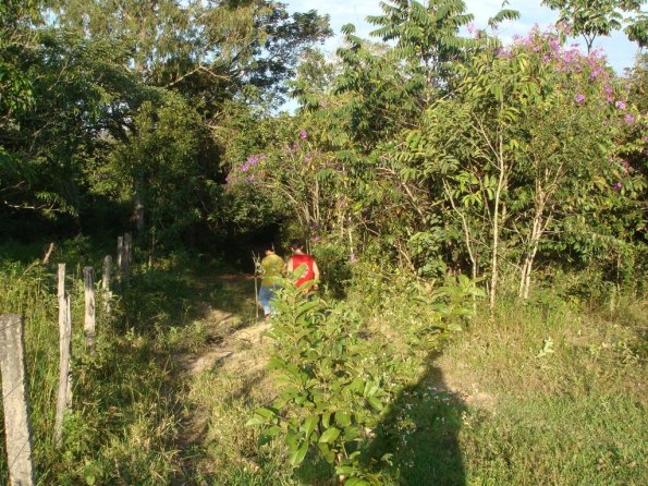 Foto 2008-05-01 16-38-31