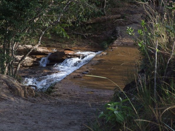 Foto 2008-05-02 08-36-10