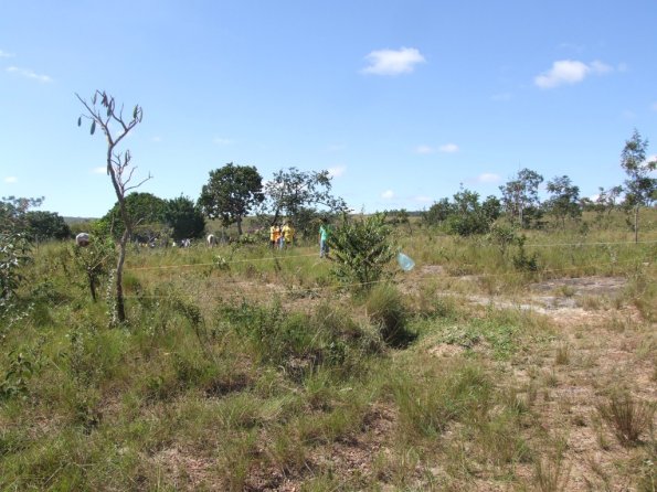 Foto 2008-05-02 10-45-26