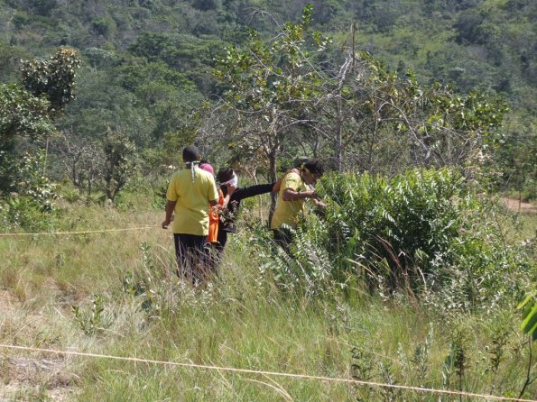 Foto 2008-05-02 10-53-02