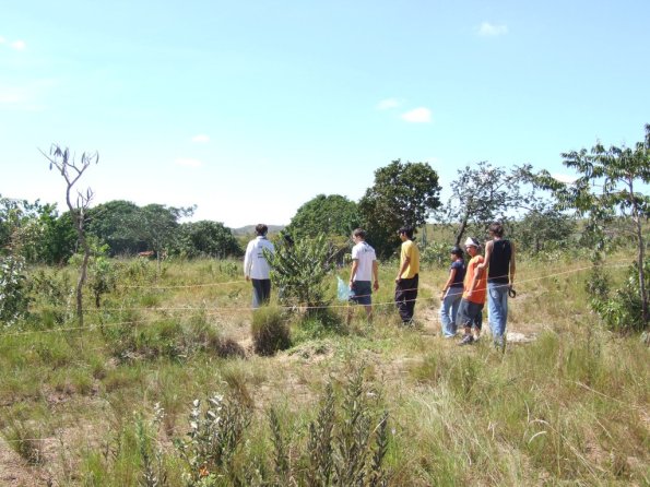 Foto 2008-05-02 11-03-51