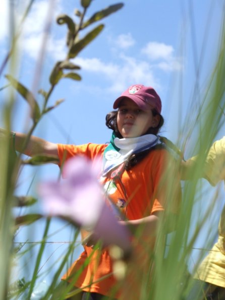 Foto 2008-05-02 11-10-00