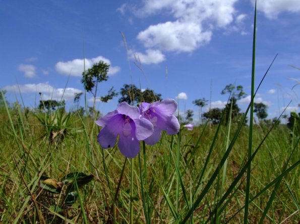 Foto 2008-05-02 11-57-07