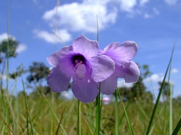 Foto 2008-05-02 11-57-15