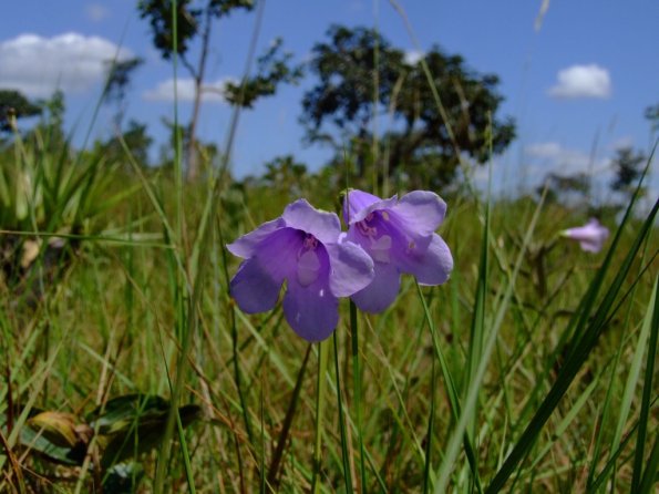 Foto 2008-05-02 11-57-44