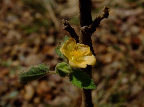 Foto 2008-05-02 12-00-09