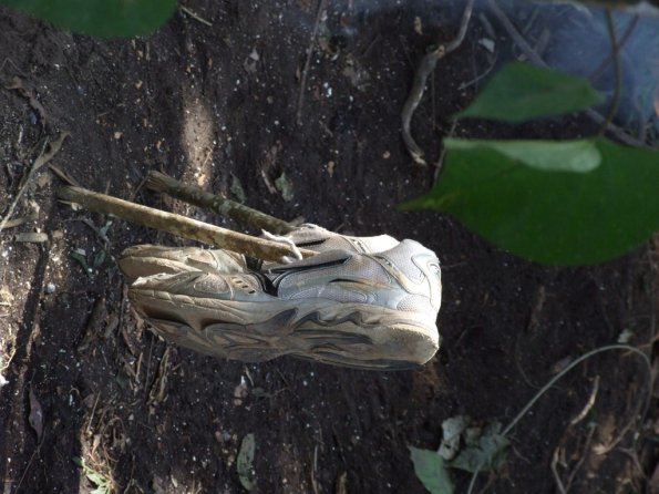 Foto 2008-05-02 12-23-38