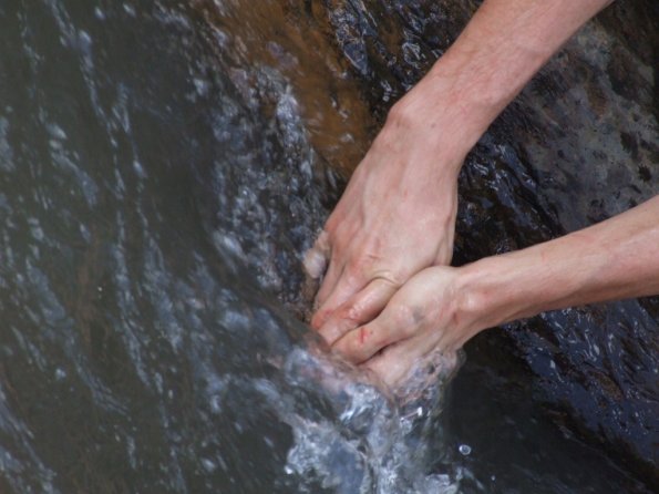 Foto 2008-05-02 12-30-18