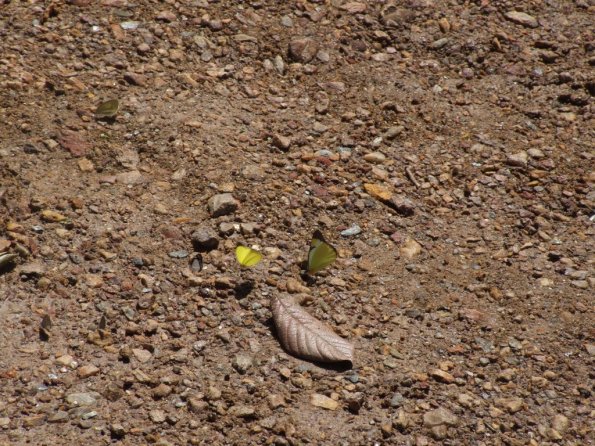 Foto 2008-05-02 12-34-56