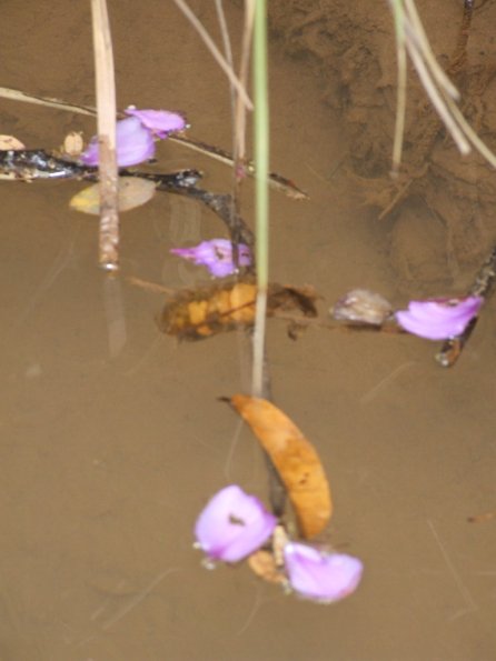 Foto 2008-05-02 12-42-00