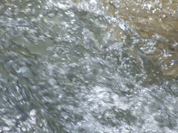 Foto 2008-05-02 12-42-33