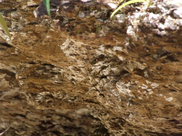 Foto 2008-05-02 12-42-45